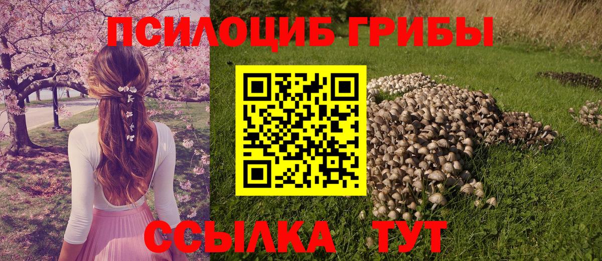 Галлюциногенные грибы мухоморы  Вход с VPN  Карталы 