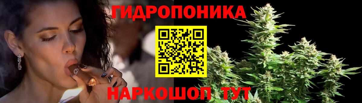 МАРИХУАНА OG Kush Карталы
